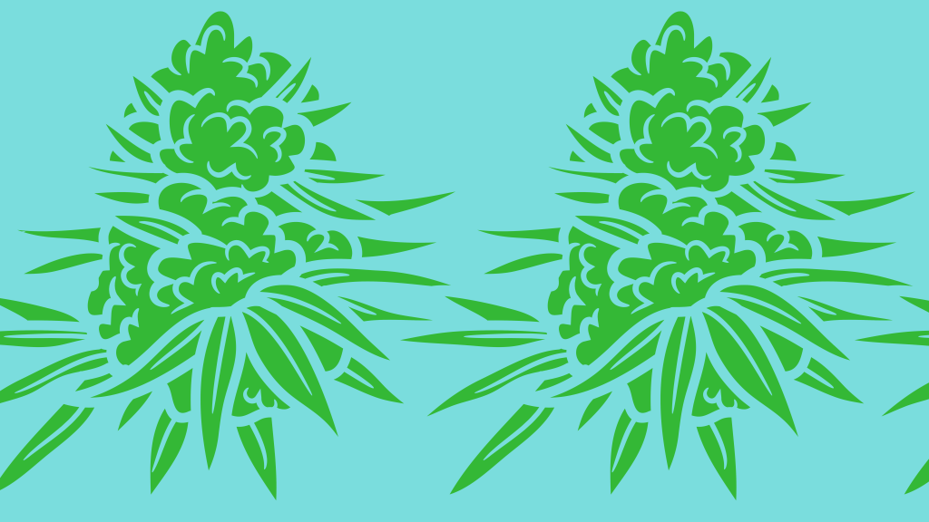 El fenómeno de la regulación de la marihuana