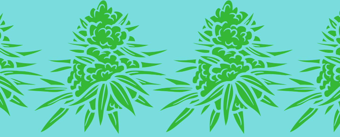 El fenómeno de la regulación de la marihuana